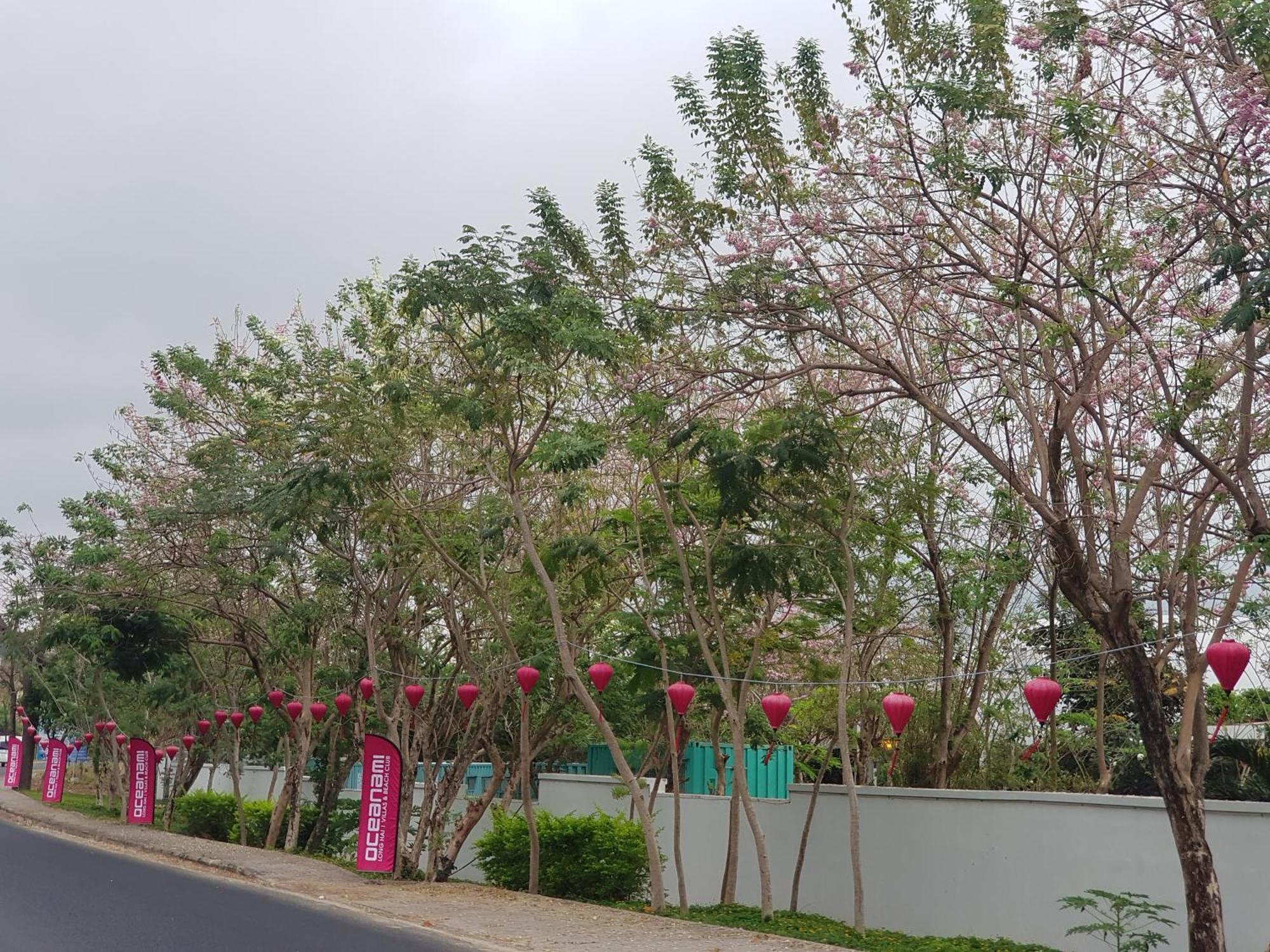 Oceanami Resort Sea View ロン・ハイ エクステリア 写真