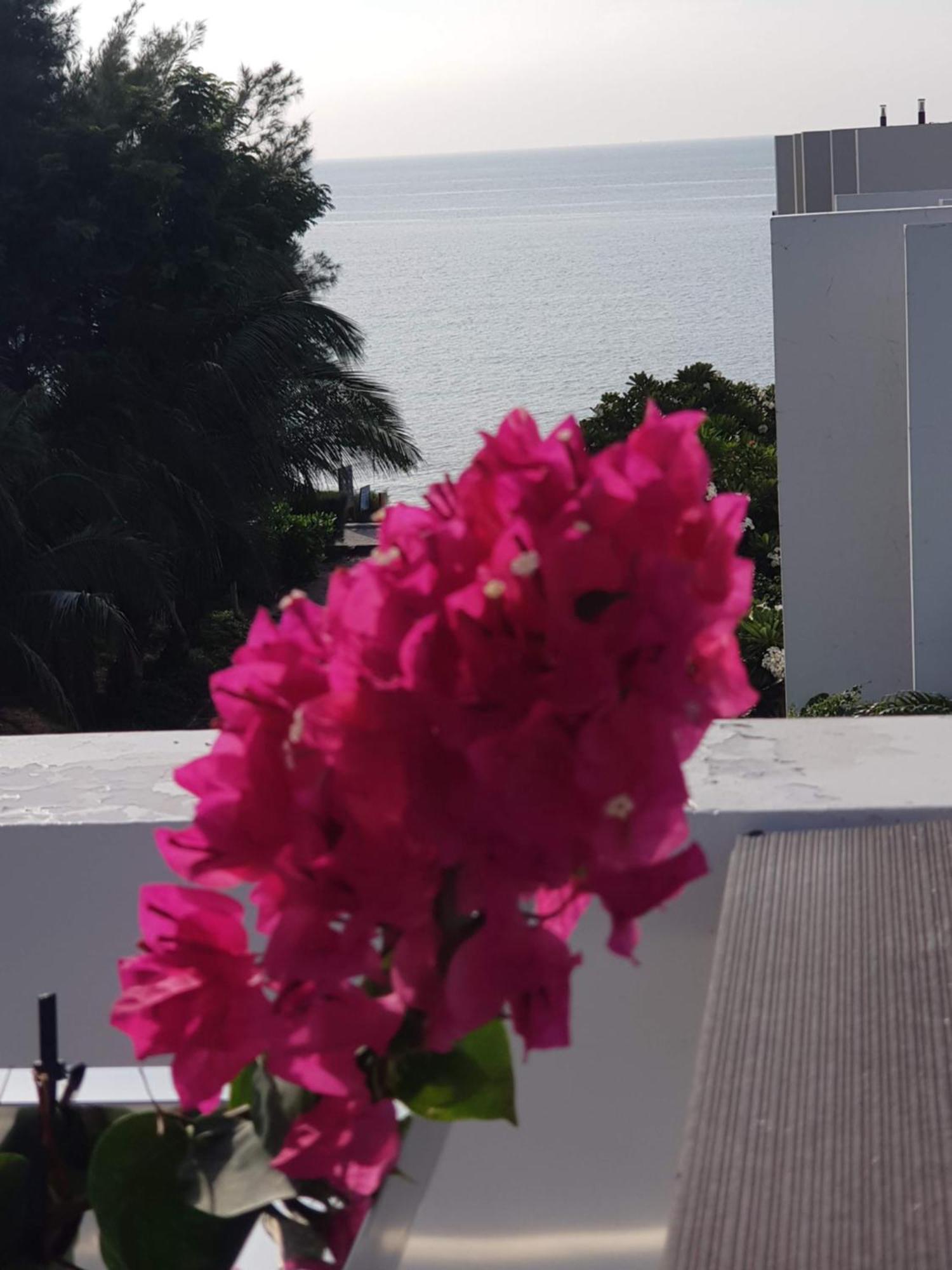 Oceanami Resort Sea View ロン・ハイ エクステリア 写真