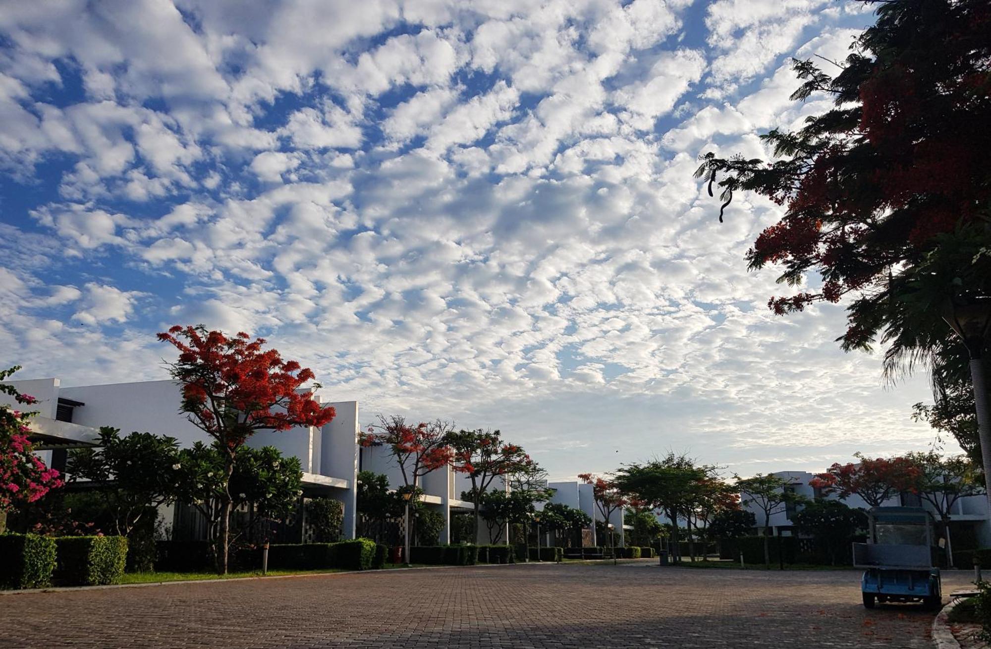 Oceanami Resort Sea View ロン・ハイ エクステリア 写真