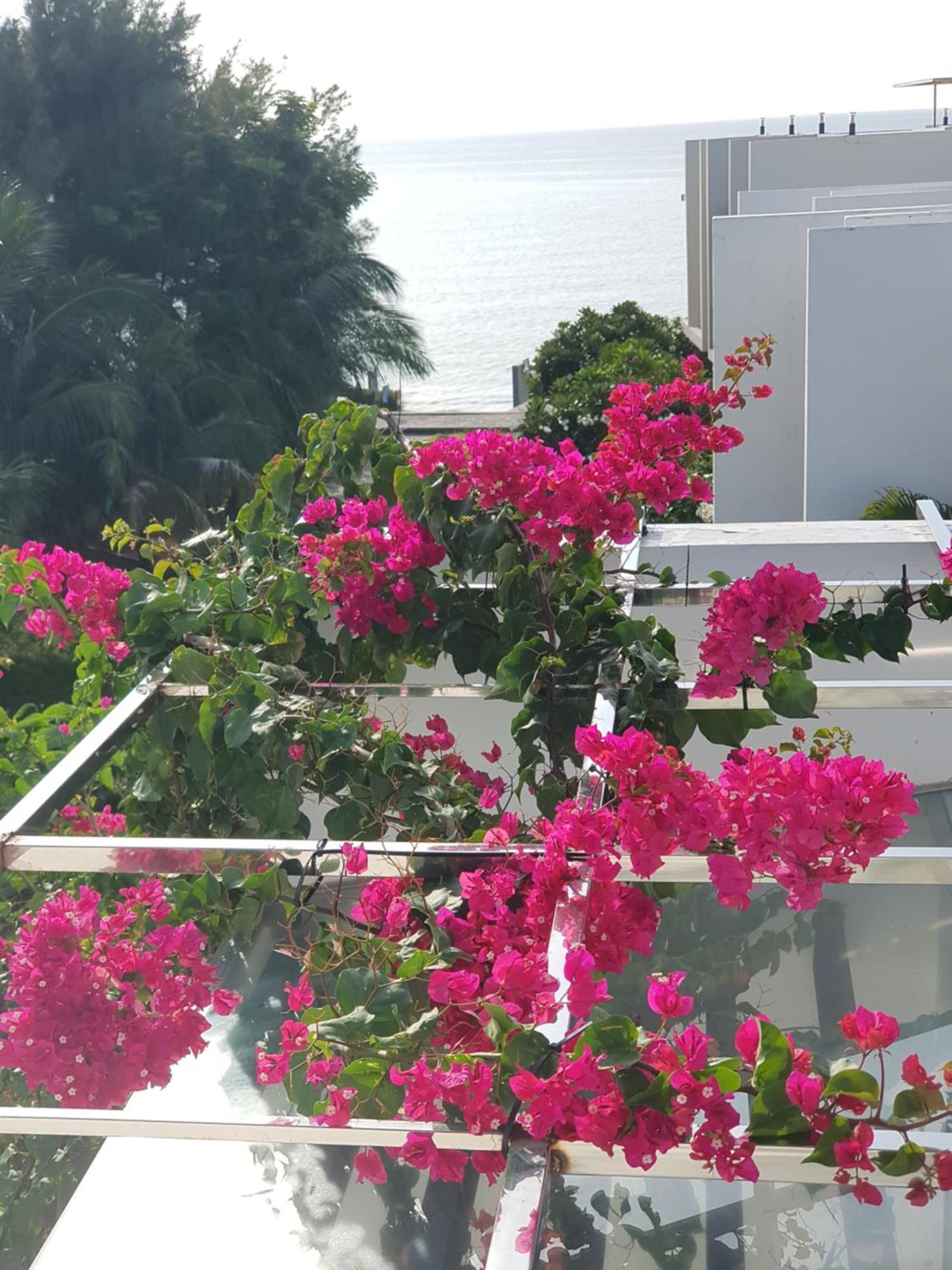 Oceanami Resort Sea View ロン・ハイ エクステリア 写真